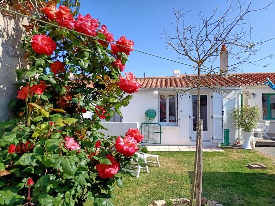 La Maison Du Marin Villa Saint-Gilles-Croix-de-Vie Exterior foto